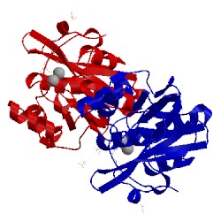 Image of CATH 2yz3
