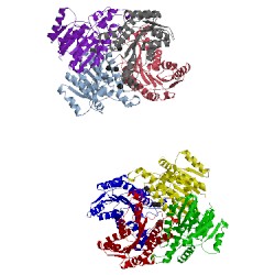 Image of CATH 2yz7
