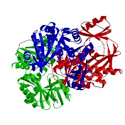 Image of CATH 2yzn