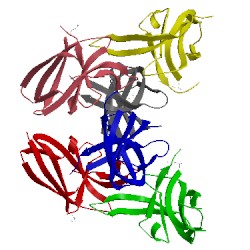 Image of CATH 2z0b