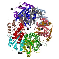 Image of CATH 2z0r