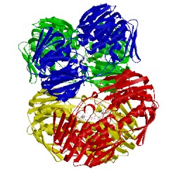Image of CATH 2z2c