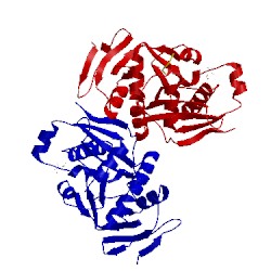 Image of CATH 2z3n