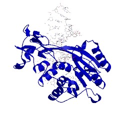 Image of CATH 2z6a