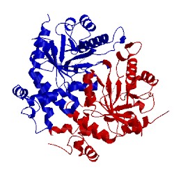 Image of CATH 2za1