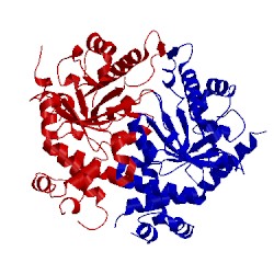Image of CATH 2za2