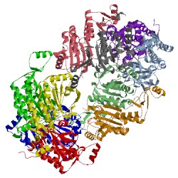 Image of CATH 2zct