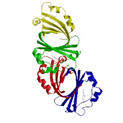 Image of CATH 2zdo