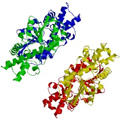 Image of CATH 2ze8