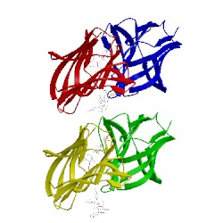 Image of CATH 2zhl