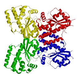 Image of CATH 2zi6