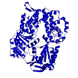 Image of CATH 2zj5