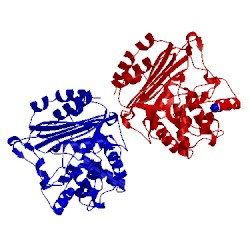 Image of CATH 2zj9