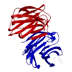 Image of CATH 2zkn