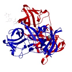 Image of CATH 2zl6
