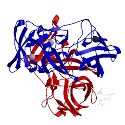 Image of CATH 2zl7