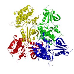 Image of CATH 2zm3