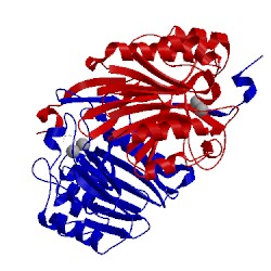 Image of CATH 2zoa