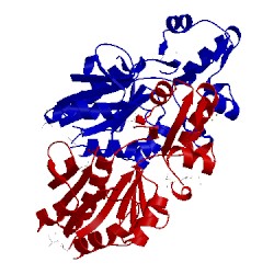 Image of CATH 2zos