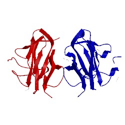Image of CATH 2zou
