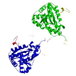 Image of CATH 2zr1