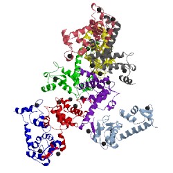 Image of CATH 2zrs