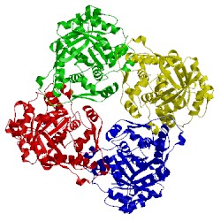 Image of CATH 2zrv