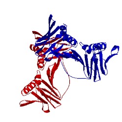 Image of CATH 2zvv