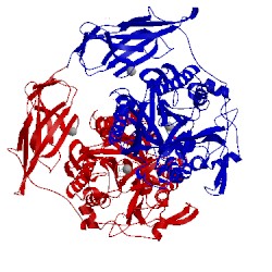 Image of CATH 2zxc