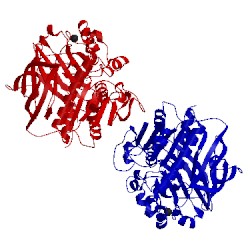 Image of CATH 2zyh
