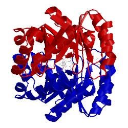 Image of CATH 2zz1