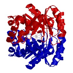 Image of CATH 2zz2