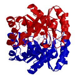 Image of CATH 2zz4