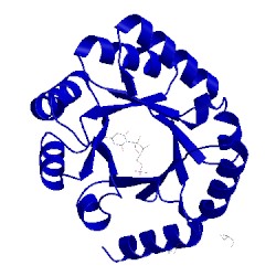 Image of CATH 2zz7
