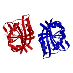 Image of CATH 2zza