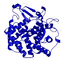 Image of CATH 2zzr