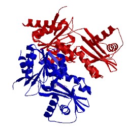 Image of CATH 3a1c