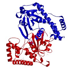 Image of CATH 3a1v