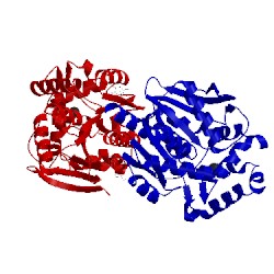 Image of CATH 3a2l