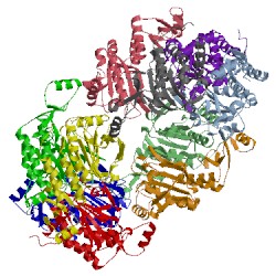 Image of CATH 3a2x