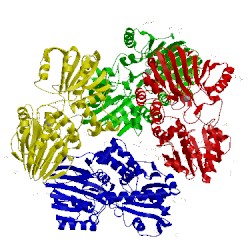 Image of CATH 3a4y