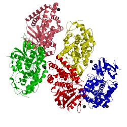 Image of CATH 3a50