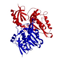 Image of CATH 3a55