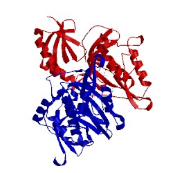 Image of CATH 3a56