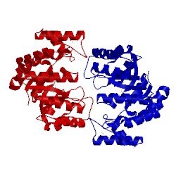 Image of CATH 3a5f