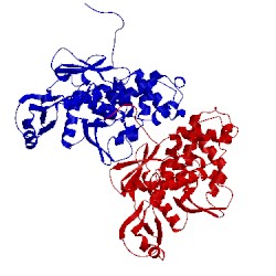 Image of CATH 3a5i