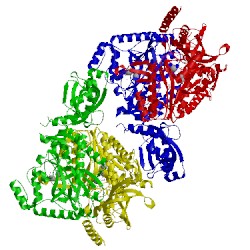 Image of CATH 3a74