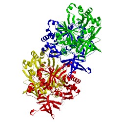 Image of CATH 3a8i