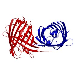 Image of CATH 3a8s