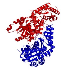 Image of CATH 3a9y